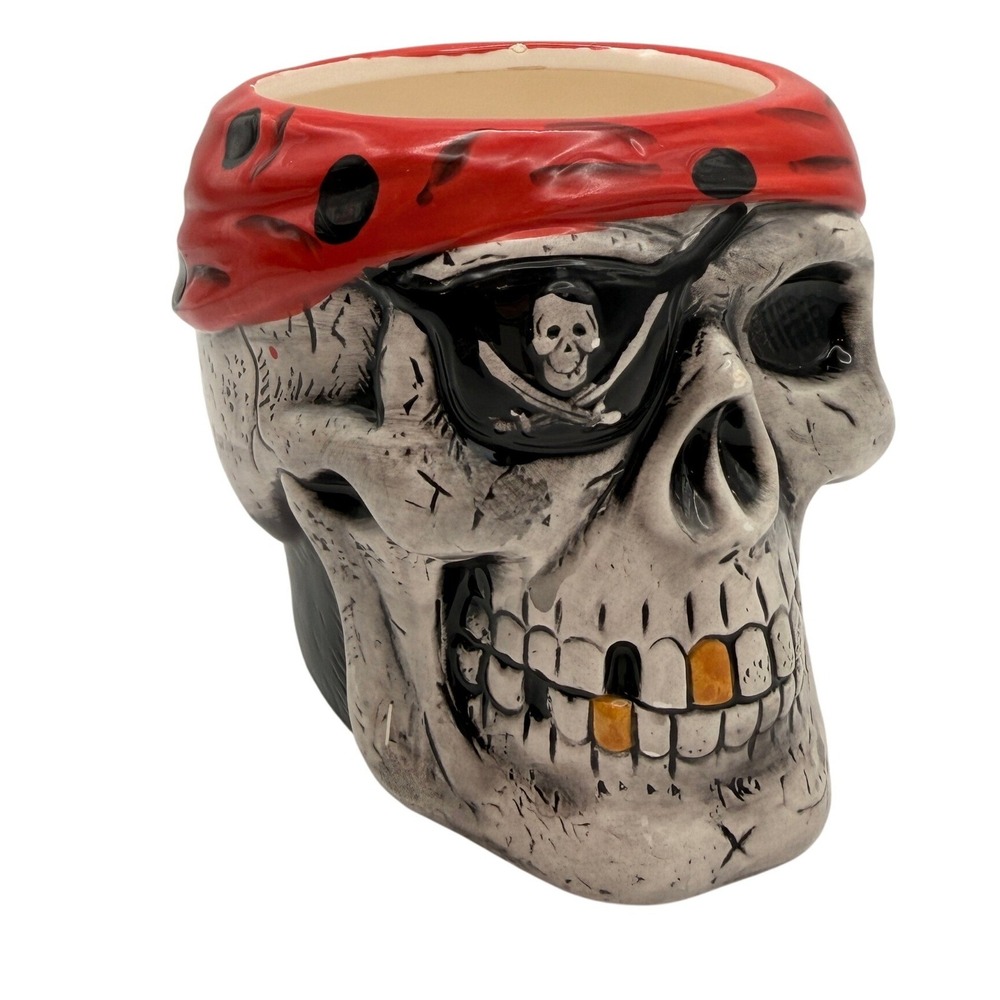 Pirate Skull Mug Victoria Canada Ceramic Coffee Cup Nautical Halloween Novelty